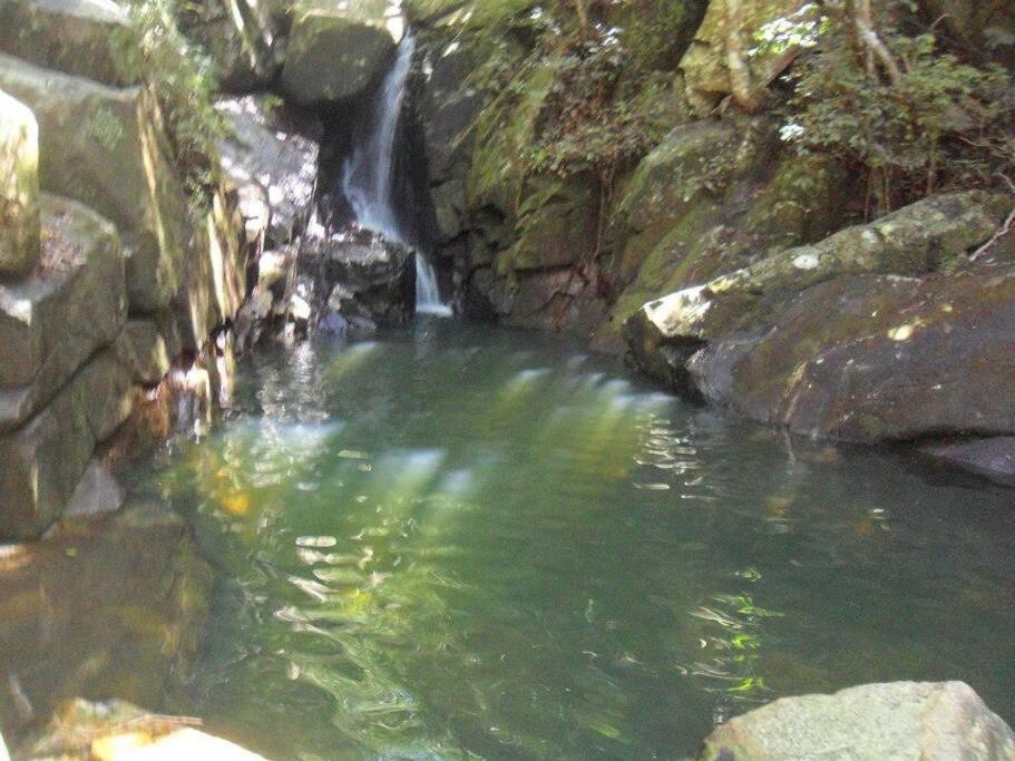 Pousada Floripa Lodge Florianópolis Екстериор снимка